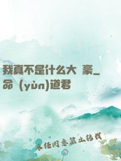 我真不是什么大劍豪