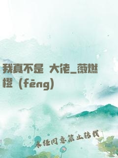我真不是個大佬