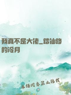 我真不是大佬
