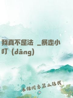 我真不是法爺