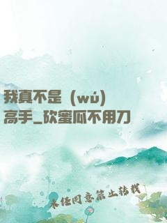我真不是無(wú)敵高手