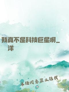 我真不是科技巨星啊