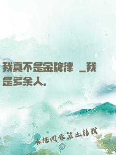 我真不是金牌律師