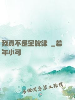 我真不是金牌律師