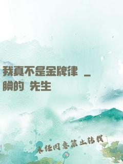 我真不是金牌律師