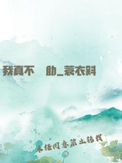 我真不會輔助