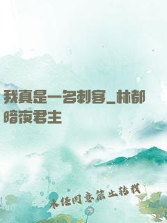 我真是一名刺客