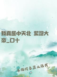 我真是中天北極紫微大帝
