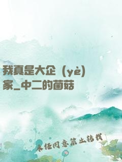我真是大企業(yè)家