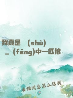 我真是奧術(shù)師