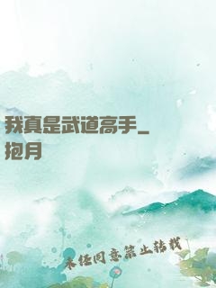 我真是武道高手