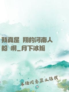 我真是飛翔的河南人號船長啊
