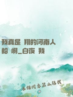 我真是飛翔的河南人號船長啊