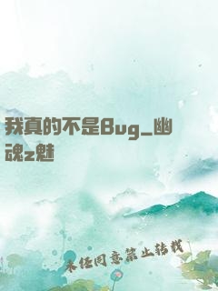 我真的不是Bug