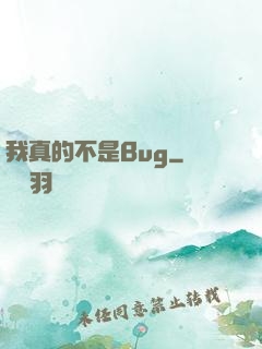 我真的不是Bug