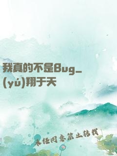 我真的不是Bug