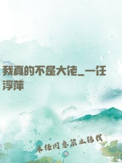 我真的不是大佬