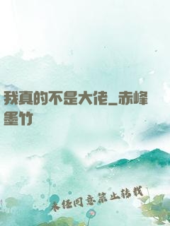 我真的不是大佬
