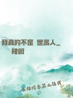我真的不是絕世高人