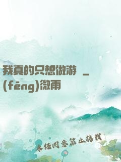 我真的只想做游戲
