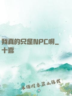 我真的只是NPC啊