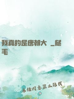 我真的是唐朝大將
