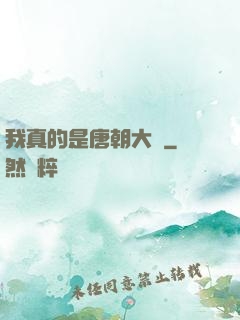 我真的是唐朝大將