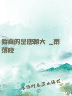 我真的是唐朝大將