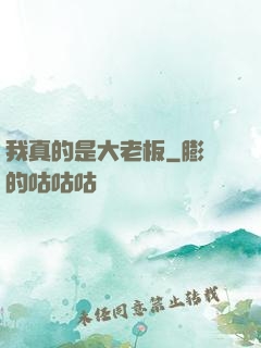我真的是大老板