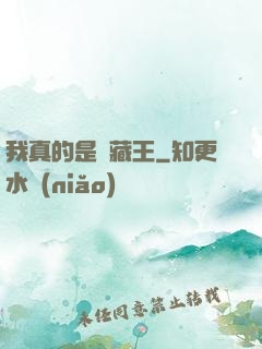 我真的是寶藏王