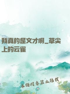 我真的是文才啊