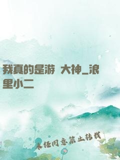 我真的是游戲大神