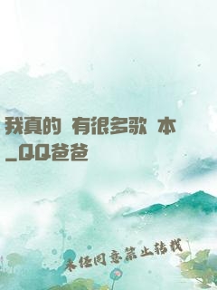 我真的沒有很多歌詞本