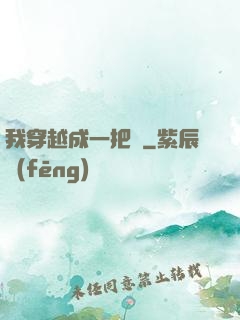 我穿越成一把劍