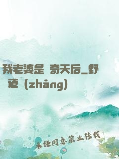 我老婆是傳奇天后