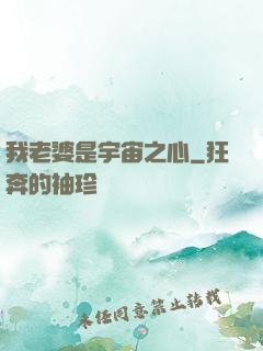 我老婆是宇宙之心