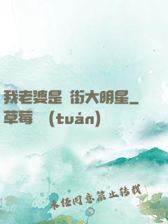我老婆是撲街大明星
