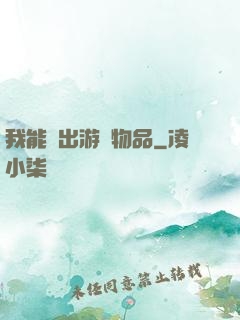 我能帶出游戲物品