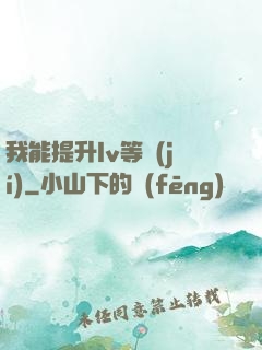 我能提升lv等級(jí)