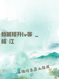 我能提升lv等級