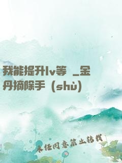 我能提升lv等級