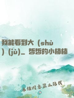 我能看到大數(shù)據(jù)