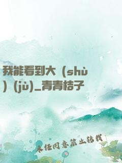 我能看到大數(shù)據(jù)