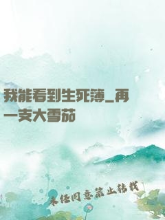 我能看到生死簿