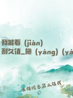 我能看見(jiàn)耐久值