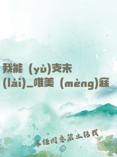 我能預(yù)支未來(lái)