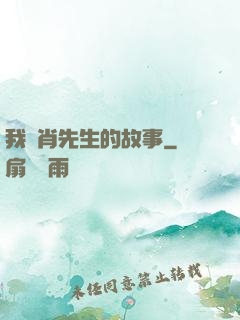 我與肖先生的故事