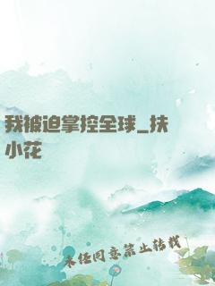 我被迫掌控全球
