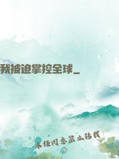 我被迫掌控全球