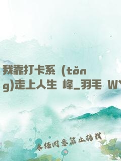 我靠打卡系統(tǒng)走上人生巔峰